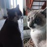 Gabriel's profile picture