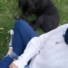 Abir Betit 🇩🇿 profil fotoğrafı