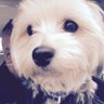 TNT!!'s profile picture