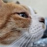 Profilbild von Yun