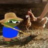 ApuEgFarmer profil fotoğrafı