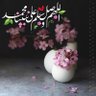 صفاء الروح profil fotoğrafı