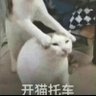 Фото профиля 麦克雷