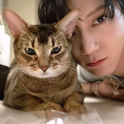 Yun๐ฉท's profile picture