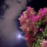 لارا 💗 profil fotoğrafı