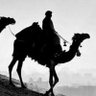 هشام profil fotoğrafı