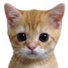 ElDucky's profile picture