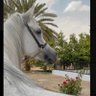 Фото профиля Manal