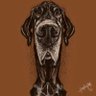 Nowhere Man's profile picture