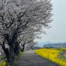 しん(Shin Ko) profil fotoğrafı