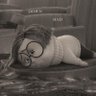 Pao's profile picture