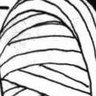 こう 的头像