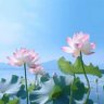赚钱达人's profile picture