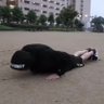 Profilbild von 告発者