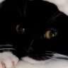 Profilbild von FelixInSuffering