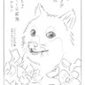 Crabbington 的头像