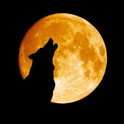 jose_ufo's profile picture