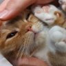 kkn profil fotoğrafı