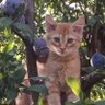 СПиЧ profil fotoğrafı