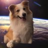 ImmersiveXpace profil fotoğrafı