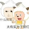 Profilbild von 那你能帮帮我吗