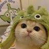 Profilbild von 晨晚闲