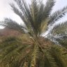 Фото профиля nasser