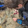 Ghost Fishing UK 🤿 的头像