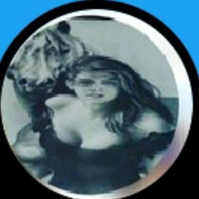 Nihal's profile picture