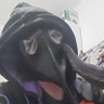 eelav 的头像