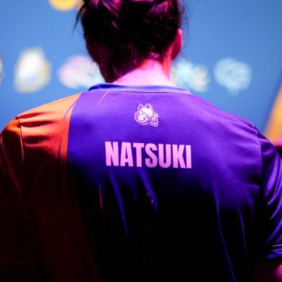Nielsvh_OW's profile picture