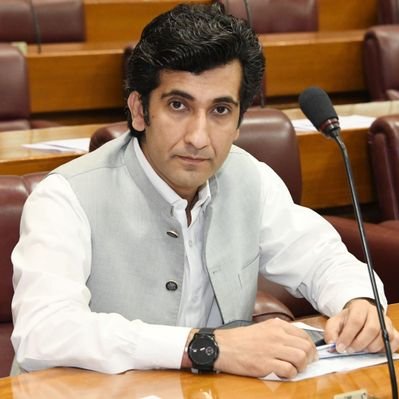 SyedshahAhad's profile picture