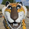 Luisitogold03's profile picture