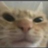 ^'s profile picture