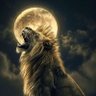 Eyob's profile picture