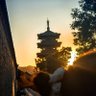 火鸡炖锅巴 profil fotoğrafı