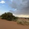Фото профиля سارح الفكر