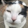 jush profil fotoğrafı