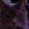 Profilbild von DDrake619