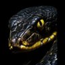 Black mamba's profile picture