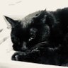 Фото профиля zzzzkkkk