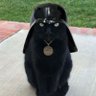 Profilbild von Emperador