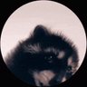 pedroparamo123 profil fotoğrafı