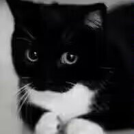 QM1123445's profile picture