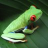 Trending Life Style's profile picture