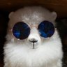 Bitduck's profile picture