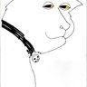 Herr Warum's profile picture