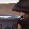 Фото профиля ياسر الاسمري