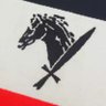 Florian Geyer's profile picture