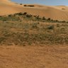 Фото профиля علي الغيث